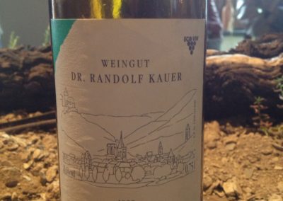 Dr. Kauer 3
